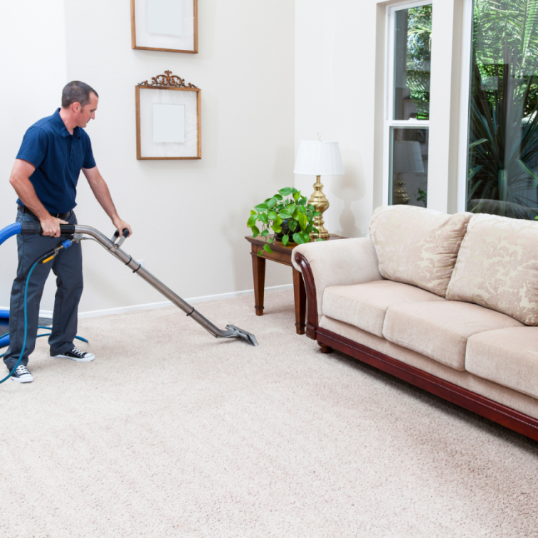 Why Professional Carpet and Upholstery Cleaning is Essential for Your Home